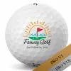 Titleist Pro V1 V1x Sun & Wave California Logo Golf Balls