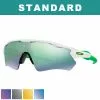 Oakley Standard Radar EV Path Sunglasses