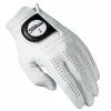 Titleist 2018 Players Gloves -Fairway Golf Sales 2022 TIT0507 507