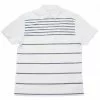UnderArmour Under Armour Coolswitch Brassie Stripe Print Polo